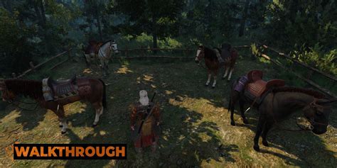 witcher 3 what horse to pick